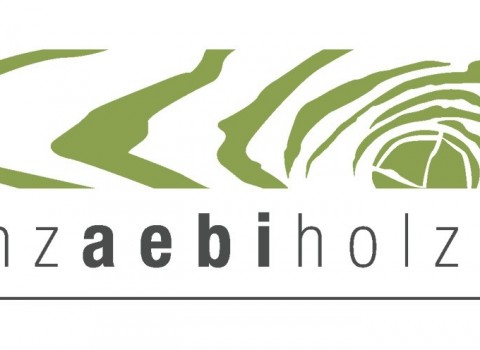 Logo Aebi farbig
