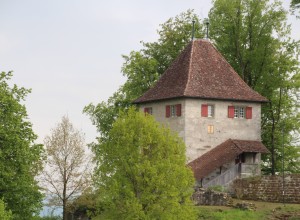 Schloss Buchegg 6